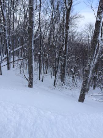 Bromont Montagne D Expériences - De la ouate à la grandeur.
